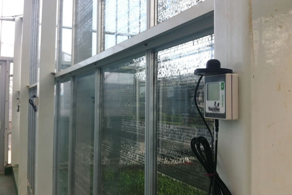 Spectrum 1450植物生長微型氣象站Agripheno玉米溫室應(yīng)用實(shí)例3.jpg Spectrum 1450植物生長微型氣象站Agripheno玉米溫室應(yīng)用實(shí)例3.jpg