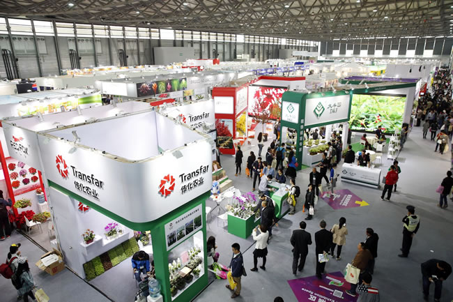 第十九屆中國國際花卉園藝展覽會1.jpg 第十九屆中國國際花卉園藝展覽會1.jpg