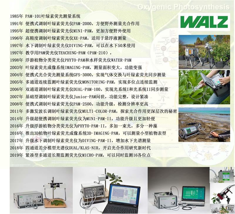 WALZ設(shè)備上市時(shí)間線.jpg